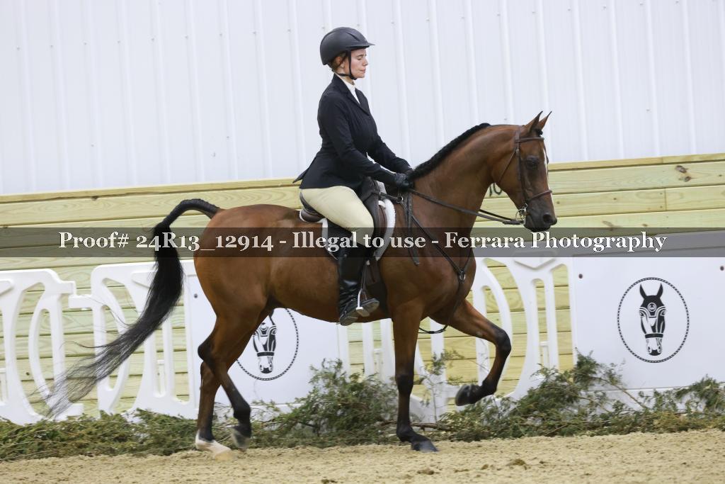 Proof 24R13_12914