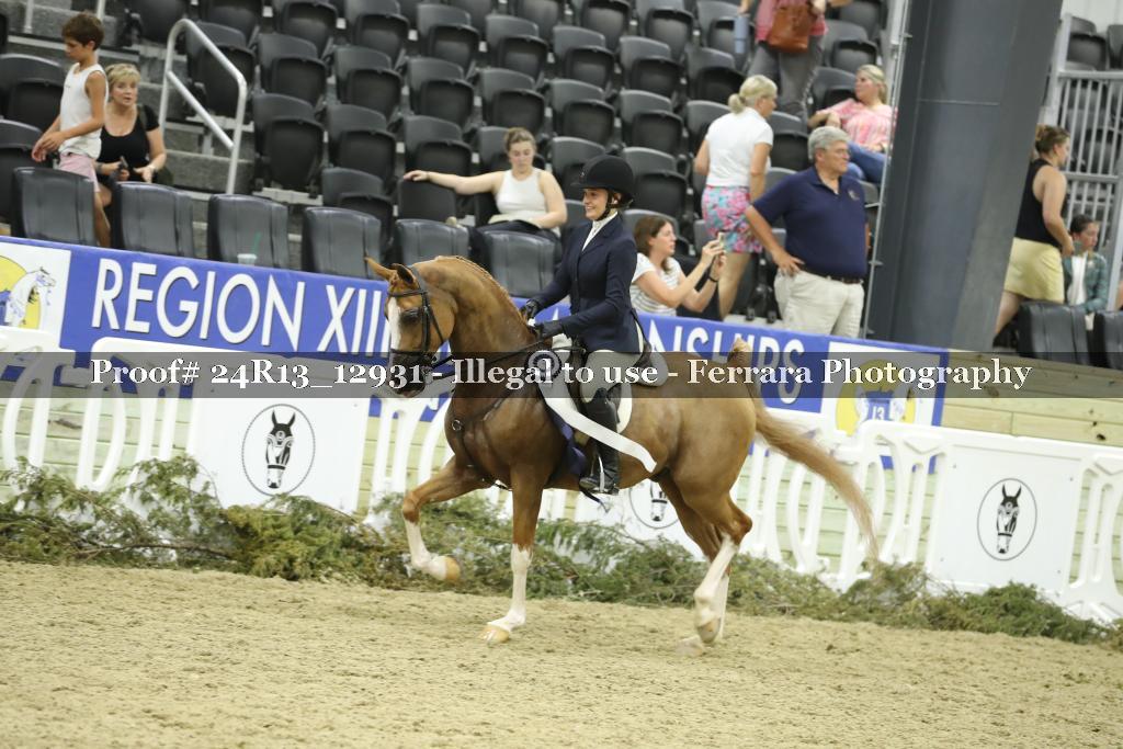 Proof 24R13_12931