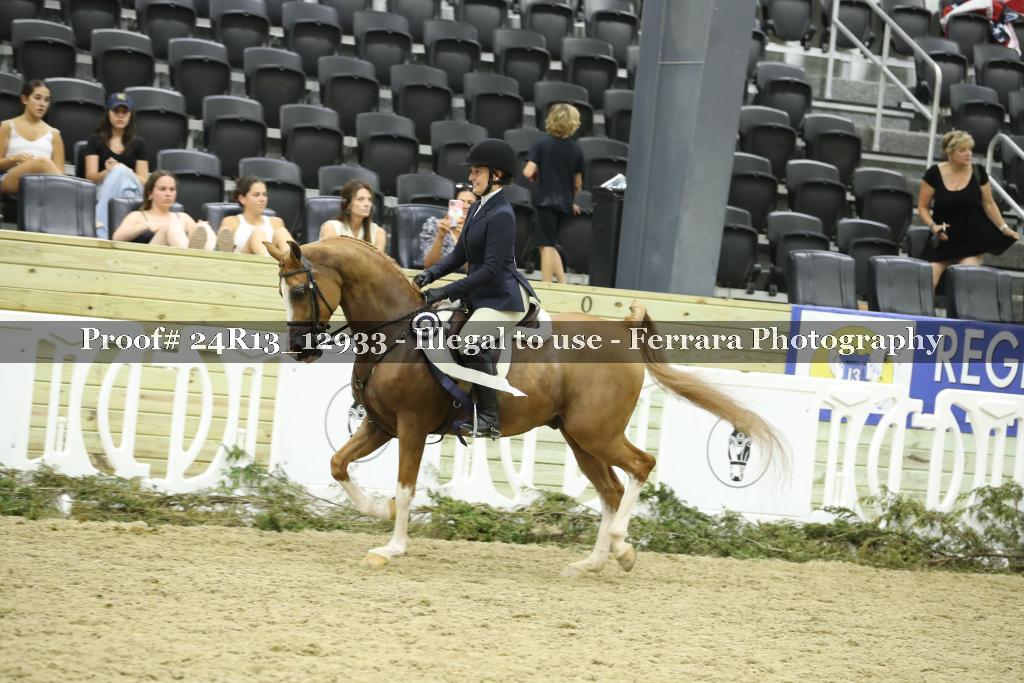 Proof 24R13_12933