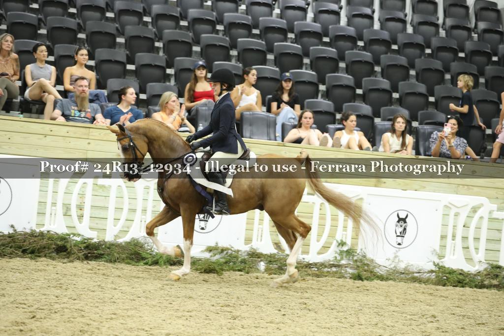 Proof 24R13_12934