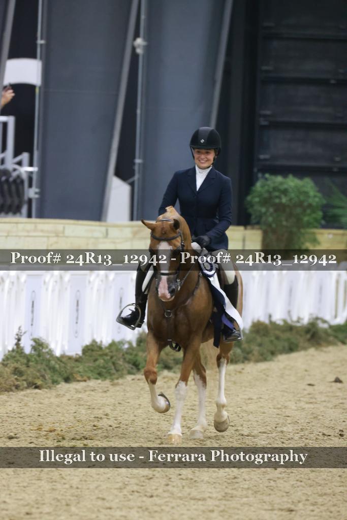 Proof 24R13_12942