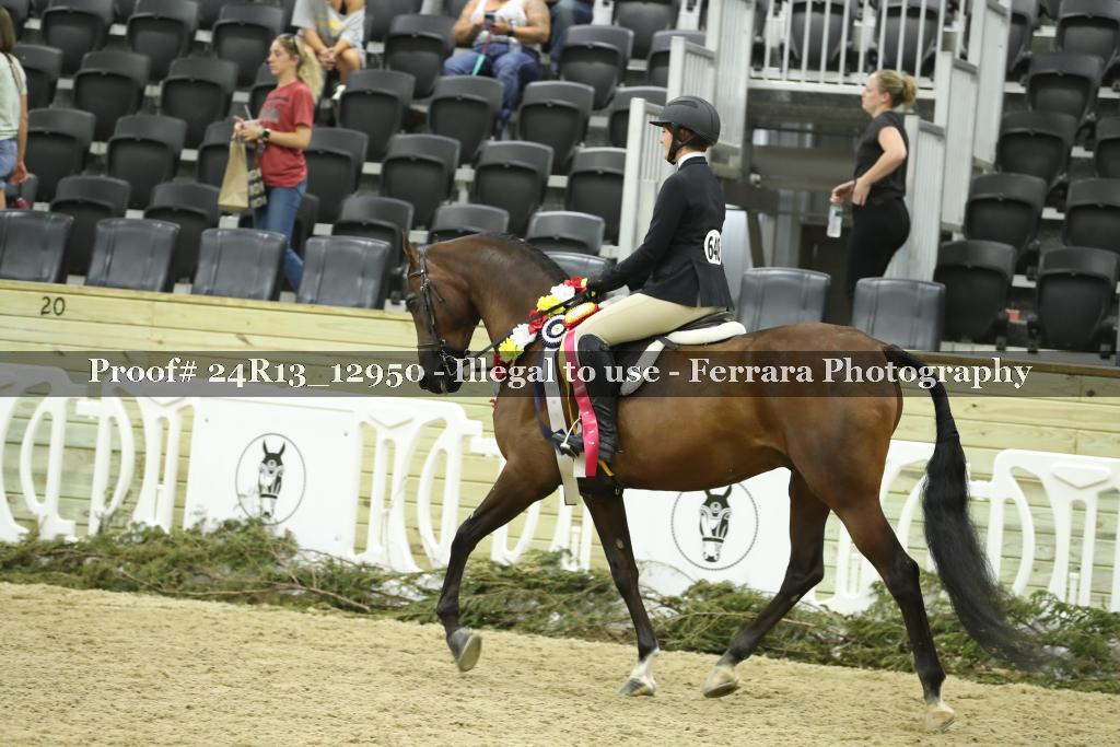 Proof 24R13_12950