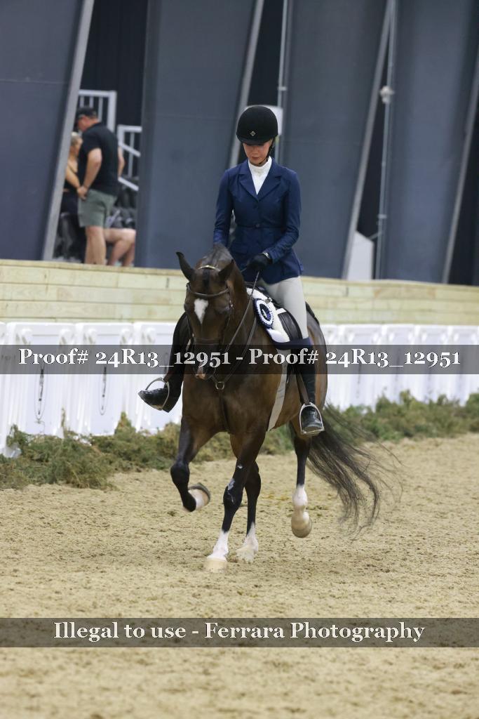 Proof 24R13_12951
