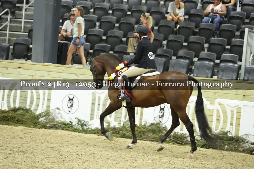 Proof 24R13_12953