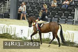 24R13_12953 proof