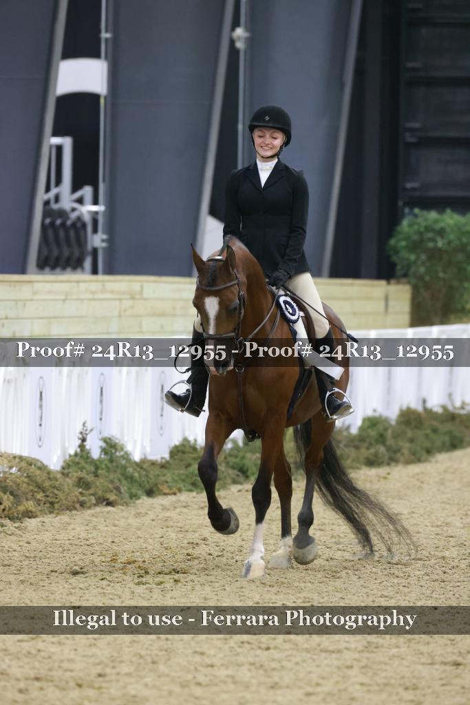 Proof 24R13_12955