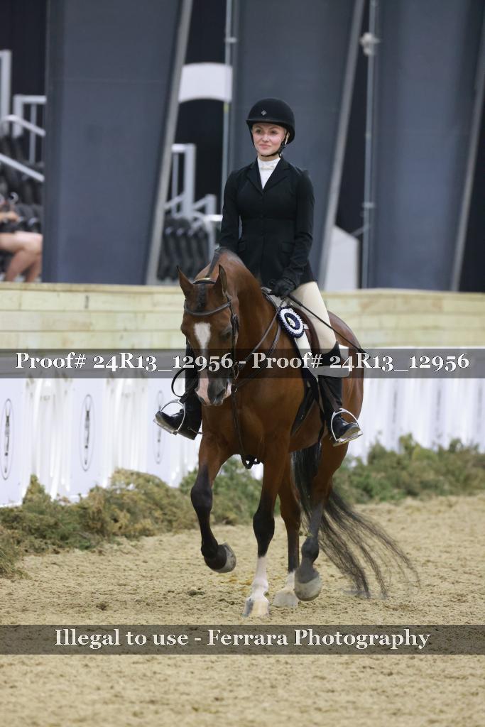 Proof 24R13_12956