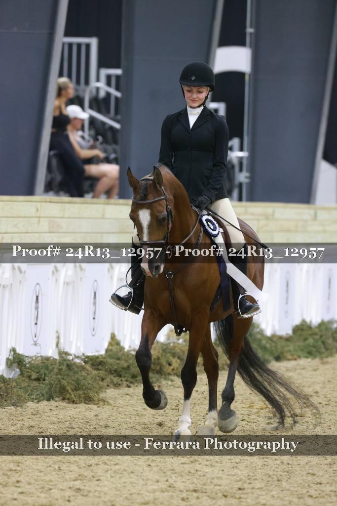 Proof 24R13_12957