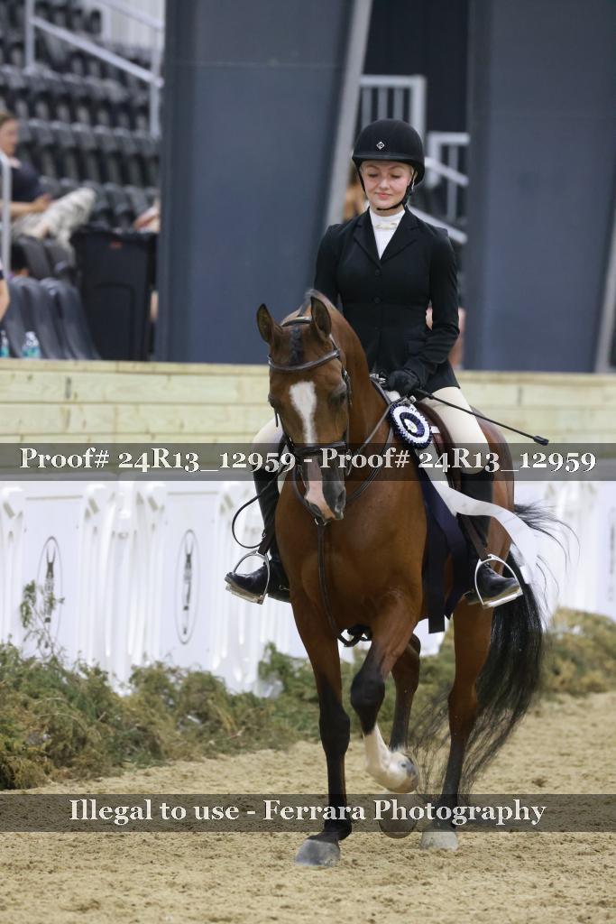Proof 24R13_12959
