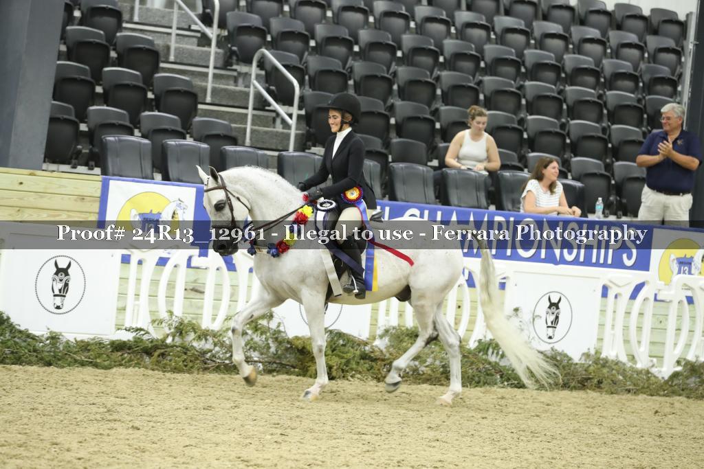 Proof 24R13_12961
