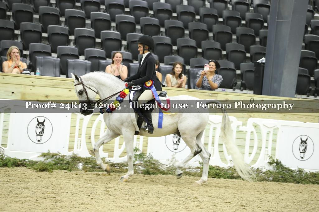 Proof 24R13_12963