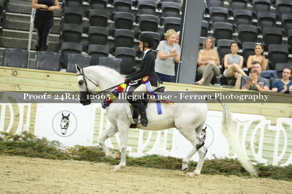Proof 24R13_12965