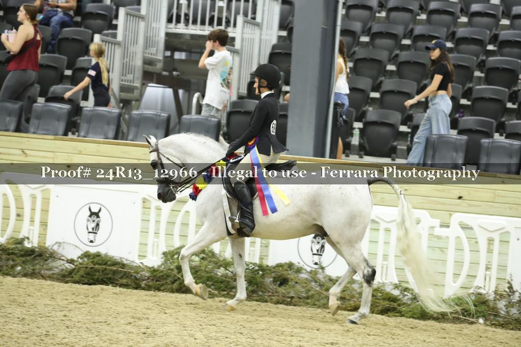Proof 24R13_12966