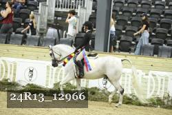 24R13_12966 proof