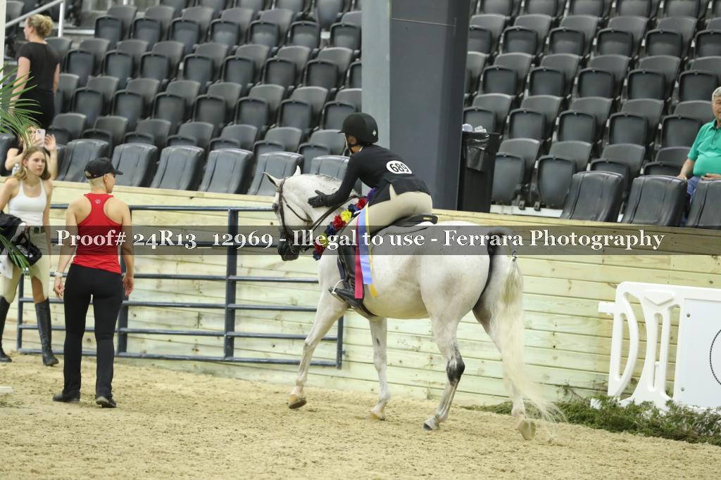 Proof 24R13_12969