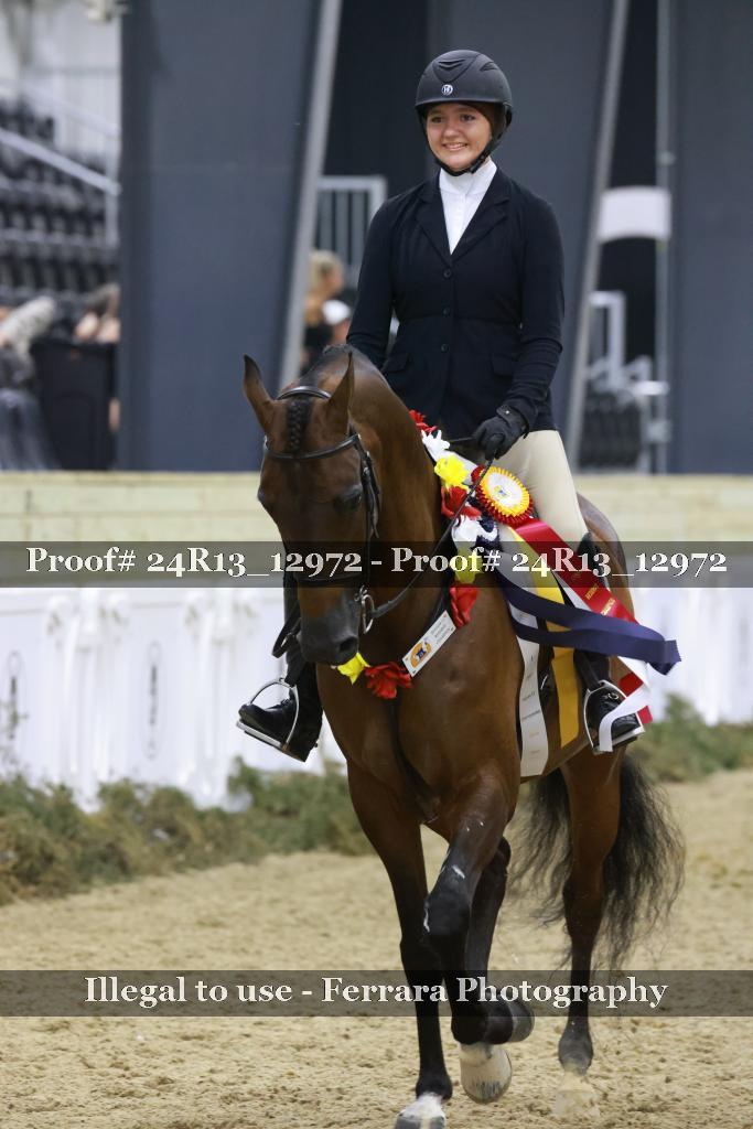 Proof 24R13_12972