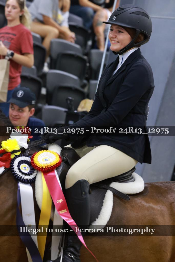 Proof 24R13_12975