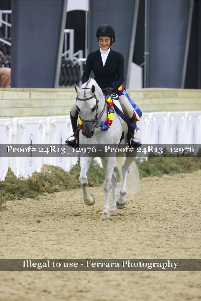 Proof 24R13_12976
