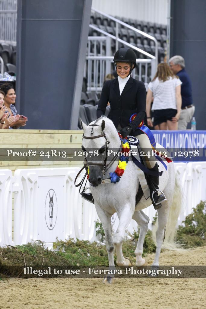 Proof 24R13_12978