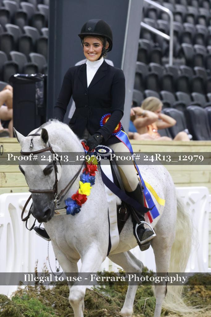 Proof 24R13_12979