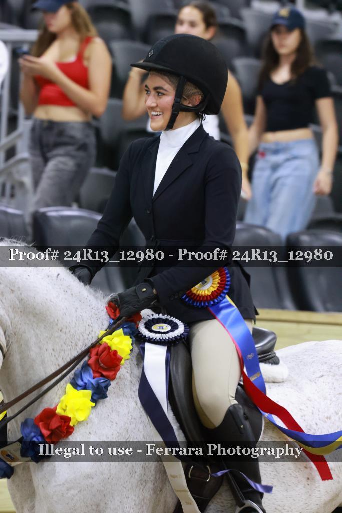 Proof 24R13_12980