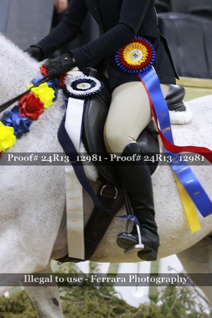 Proof 24R13_12981