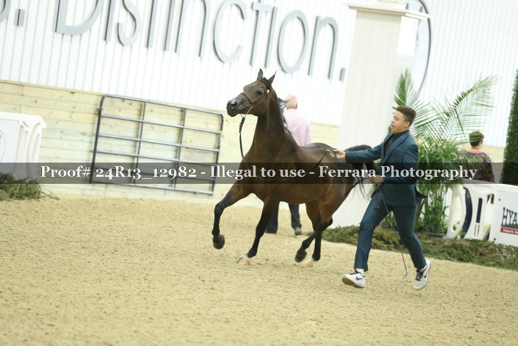 Proof 24R13_12982