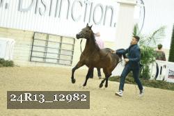 24R13_12982 proof