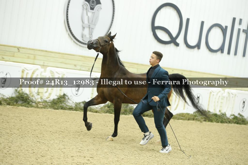 Proof 24R13_12983