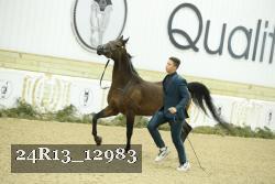 24R13_12983 proof