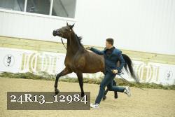 24R13_12984 proof