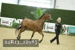 24R13_12985 proof