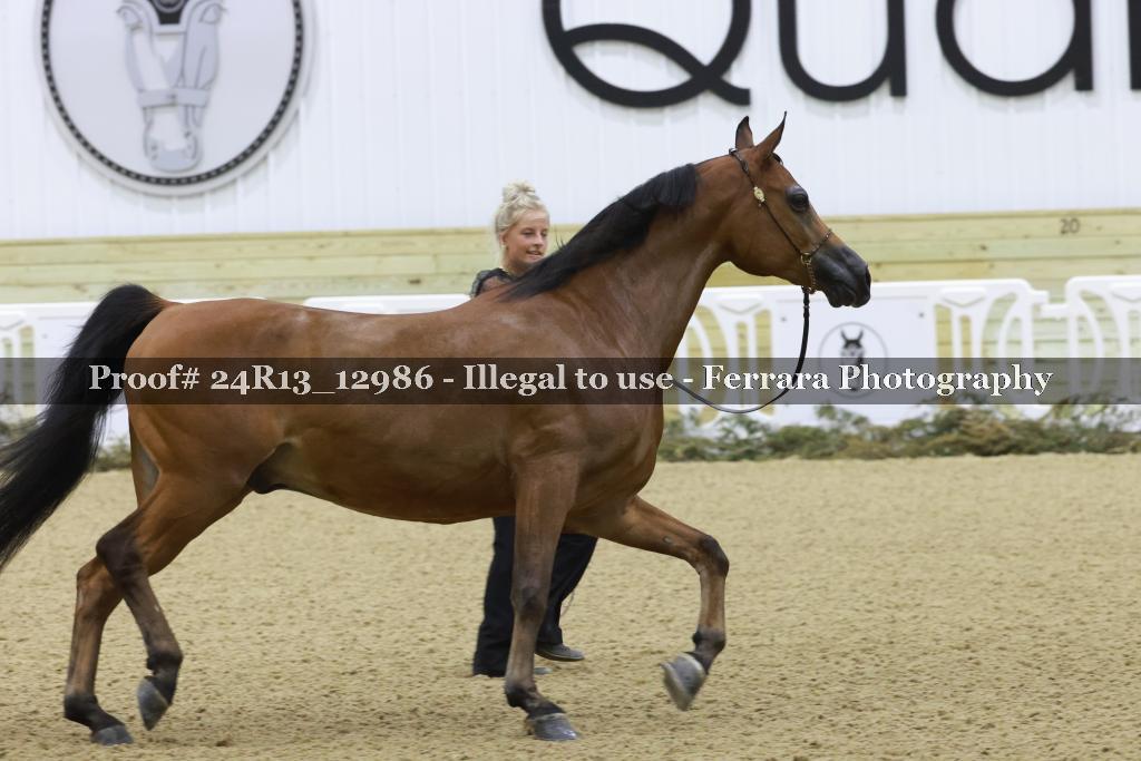 Proof 24R13_12986