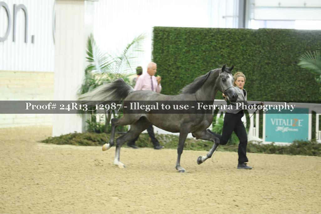 Proof 24R13_12987