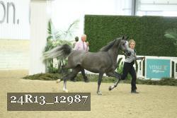 24R13_12987 proof