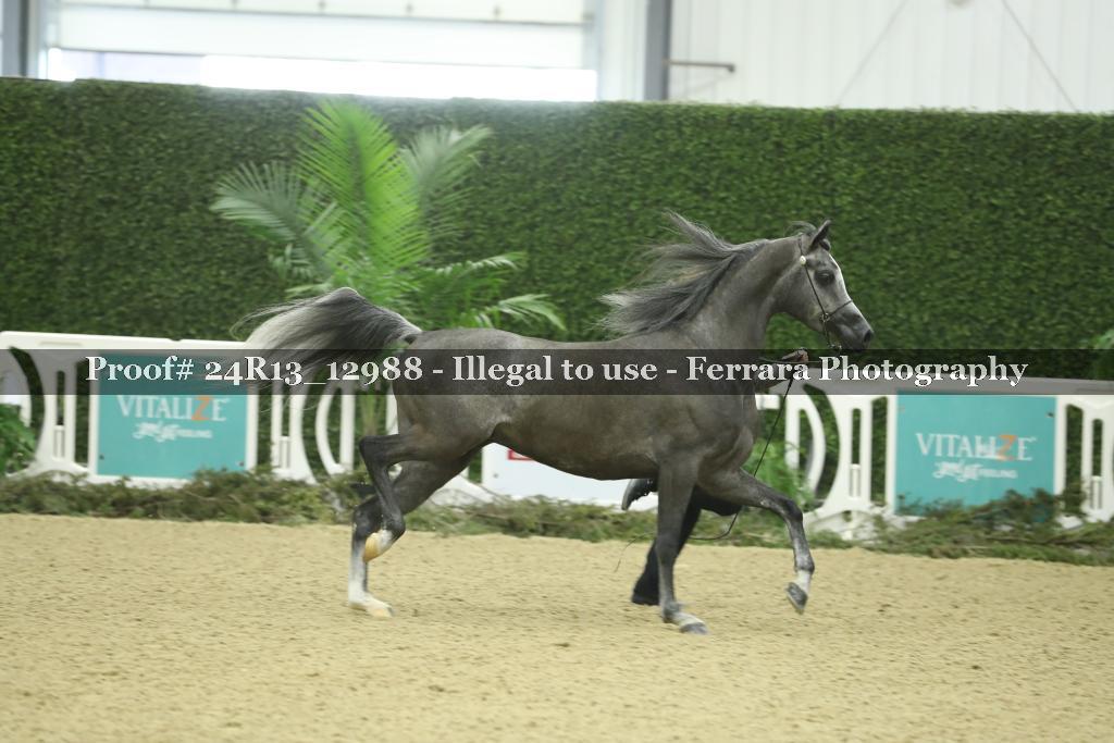 Proof 24R13_12988