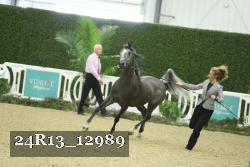 24R13_12989 proof