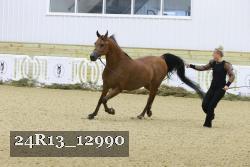 24R13_12990 proof