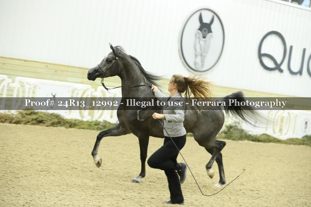 Proof 24R13_12992