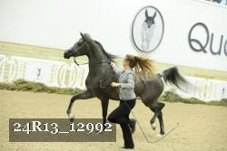 24R13_12992 proof