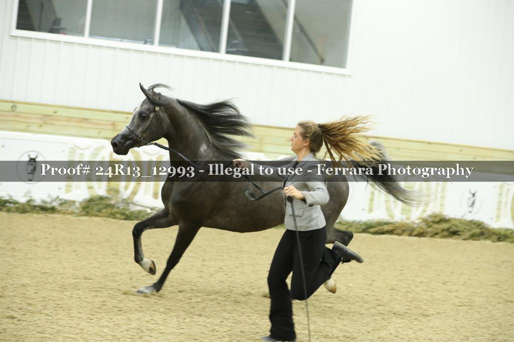 Proof 24R13_12993