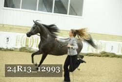 24R13_12993 proof
