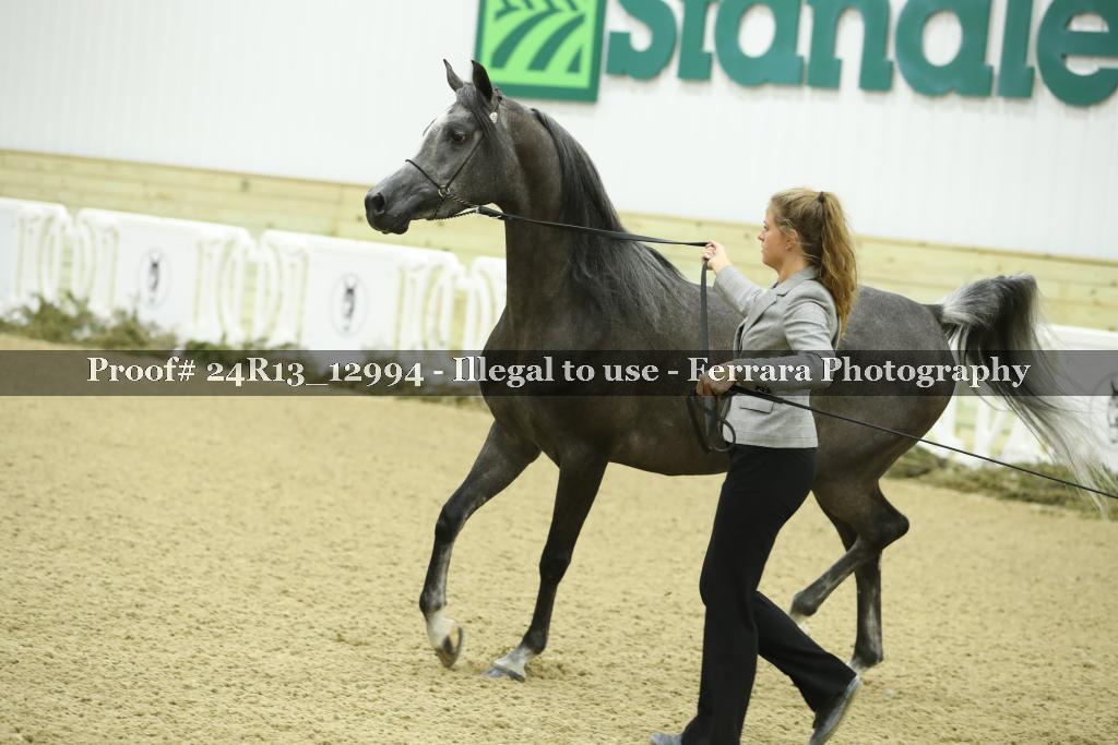 Proof 24R13_12994