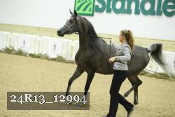 24R13_12994 proof