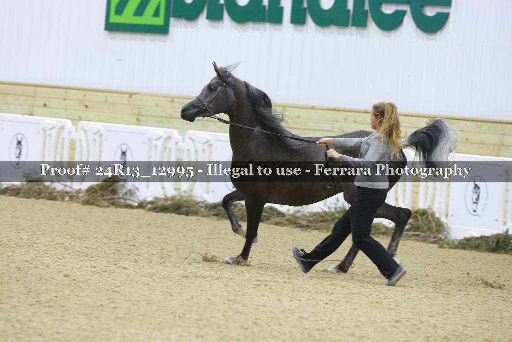Proof 24R13_12995