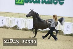 24R13_12995 proof