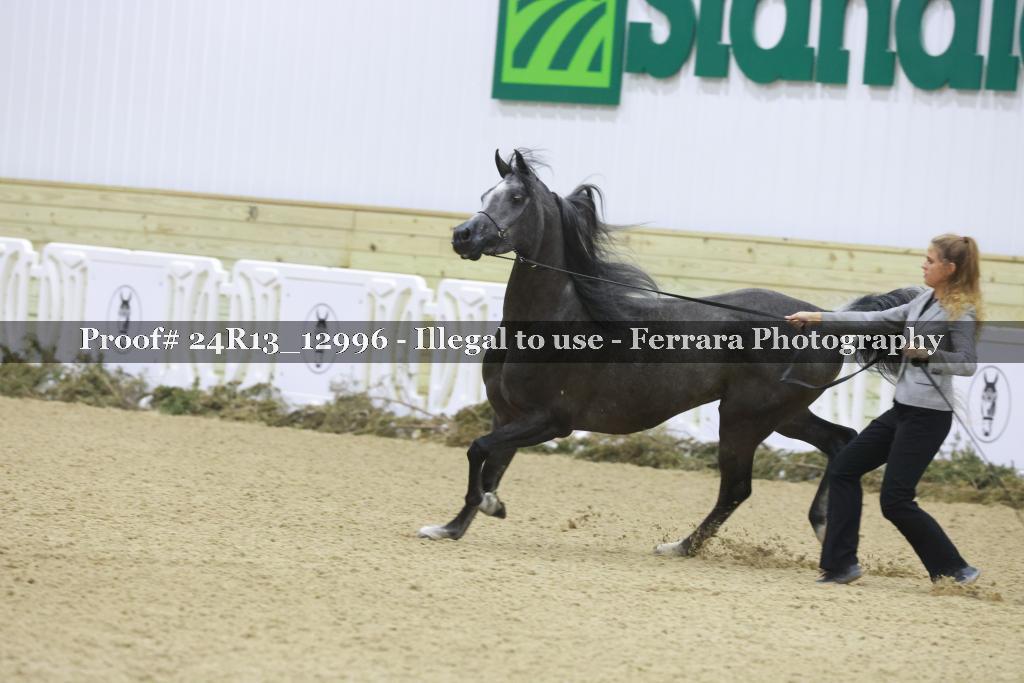 Proof 24R13_12996