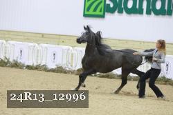 24R13_12996 proof