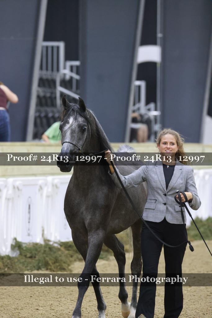 Proof 24R13_12997