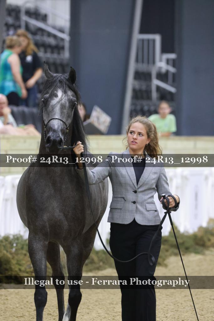 Proof 24R13_12998
